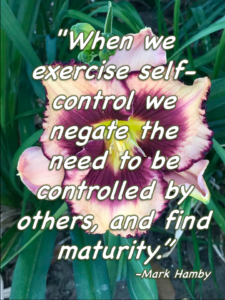 Self Control mm