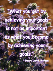 Achieving Goals