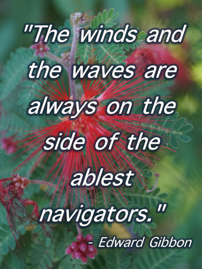 Winds and Waves
